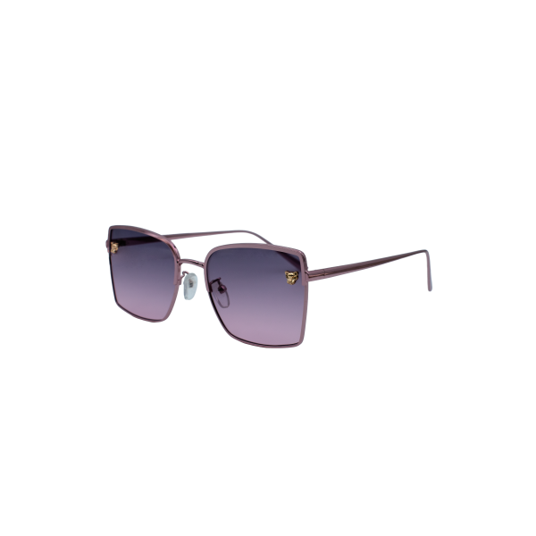 Find Your Favorite Brand