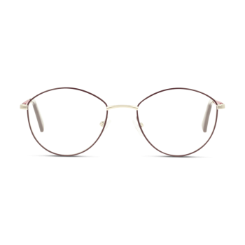 Polarized Sunglasses